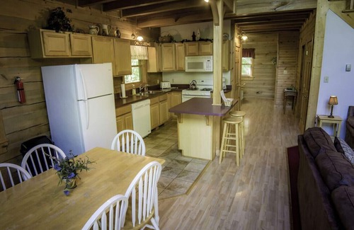 Helmsburg Cabin | Spacious and Secluded Cabin with Outdoor Hot tub!