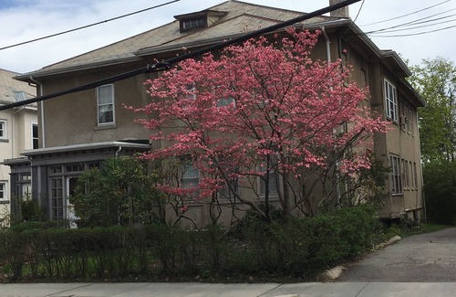 North Brookline House | Spacious Coolidge Corner Brookline Home - 1 Block to Restaurants, Shops, Movies