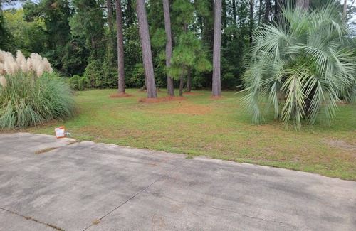 Red Hill Ski Chalet | Spacious luxurious Home with 3000sq ft of living area