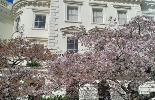 Shepherd's Bush Apartment | Spacious modern 1 bedroom flat, Notting Hill, West London