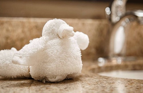 Smithfield Hotel | Spark by Hilton Smithfield I-95