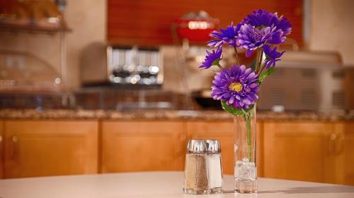 Coxsackie Hotel | Spark by Hilton West Coxsackie