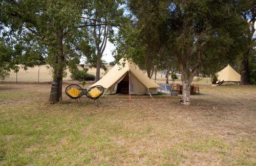Parkes Resort | Spicer Caravan Park
