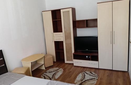 Singeorgiu de Mures Apartment | Spital studio Mureșului