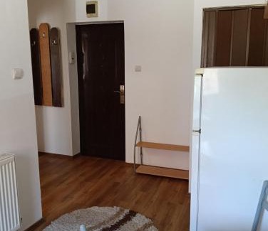 Singeorgiu de Mures Apartment | Spital studio Mureșului