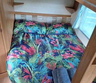 Newport Other | Springfield Oaks campsite