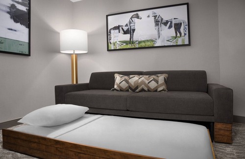 Lexington Hotel | Springhill Suites by Marriott Lexington Fritz Farm