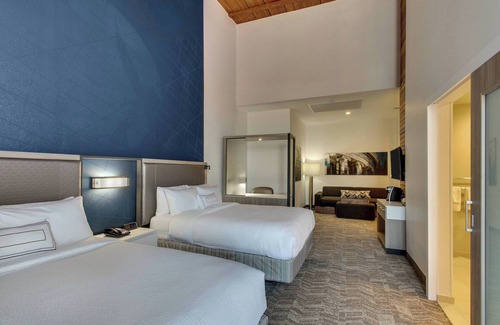 Montgomery Hotel | SpringHill Suites by Marriott Montgomery Downtown