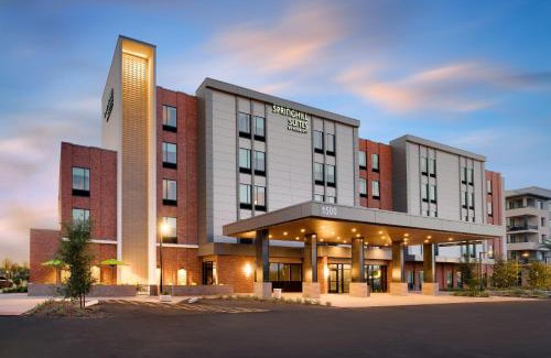 South Scottsdale Hotel | SpringHill Suites by Marriott Phoenix Scottsdale