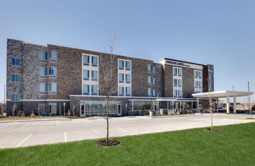 South Arlington Hotel | SpringHill Suites by Marriott Dallas Mansfield