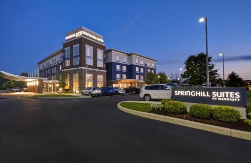 Plainfield Hotel | SpringHill Suites by Marriott Indianapolis Airport/Plainfield