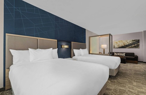 Camden Hotel | Springhill Suites By Marriott Camden