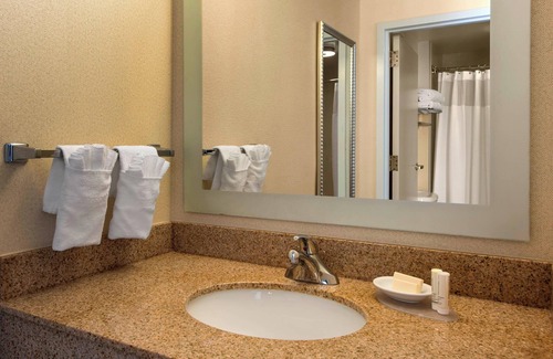 Paw Creek Hotel | SpringHill Suites by Marriott Charlotte Airport