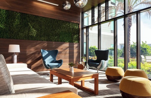 Millenia Hotel | SpringHill Suites by Marriott Orlando at Millenia