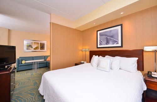 Hanover Hotel | SpringHill Suites by Marriott Arundel Mills BWI Airport