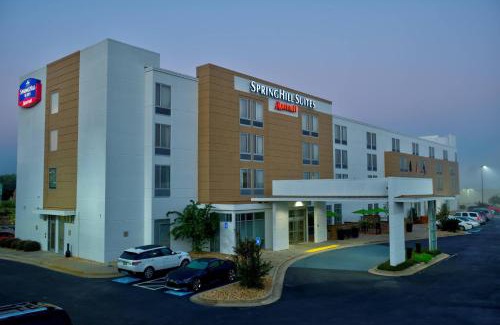 Macon Hotel | SpringHill Suites by Marriott Macon