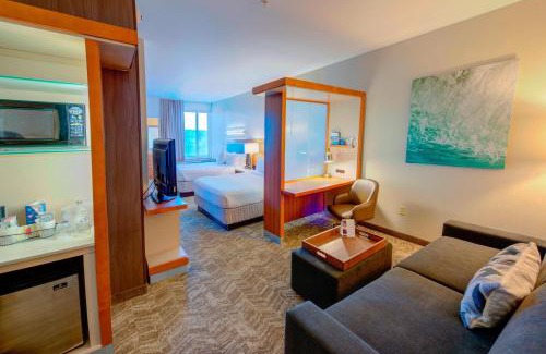 Macon Hotel | SpringHill Suites by Marriott Macon