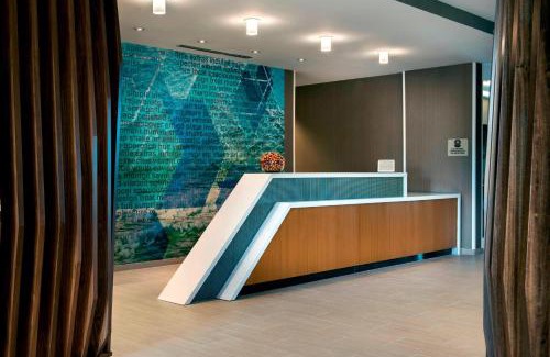 Land O' Lakes Hotel | SpringHill Suites by Marriott Tampa Suncoast Parkway