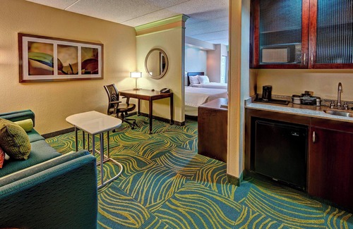 Norfolk Hotel | SpringHill Suites Marriott Norfolk Old Dominion University