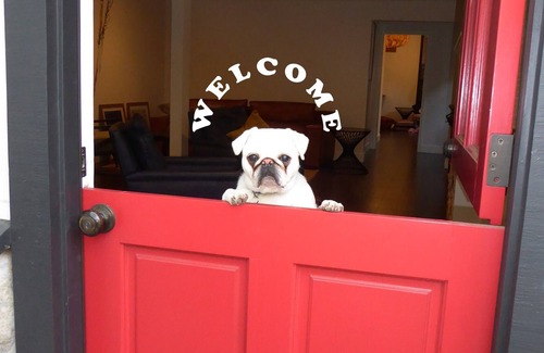 St. Helena House | St. Helena Bungalow Steps from Main Street | Pet Friendly | 30 Day Minimum