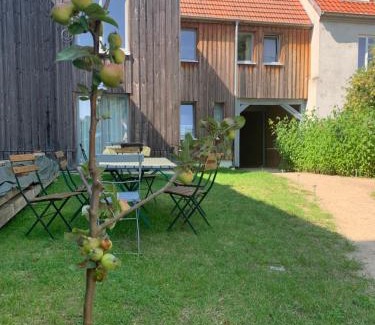 Muritz Apartment | Stadtnest Malchow - für 2-12 Personen in der Inselstadt - Mecklenburgische Seenplatte
