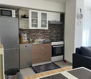 Mali Radic Apartment | Stan Na Dan Pehlić - Apartments For The Day Cazin