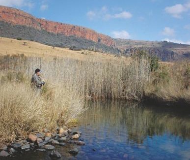 Impendle House | Star Dam Estate - Tranquil Cottage
