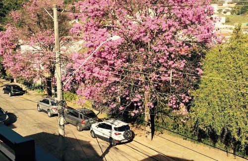 Comiteco House | Stay 5 minutes away downtown!