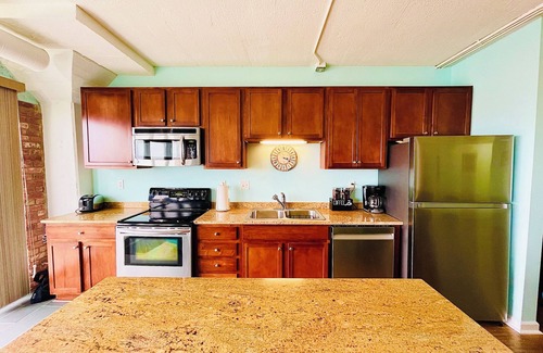 Sandusky Condo | Stay On The Water! Spectacular View Cedar Point! Downtown Walk to Ferry Restaurants Bars