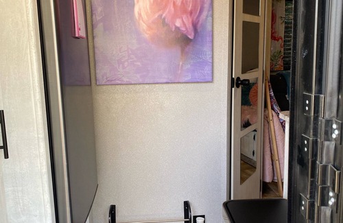 Parkway-South Sacramento House | Stay while RV Flamingo Clamping🦩