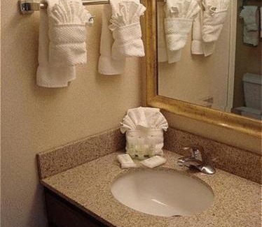 Plainfield Hotel | Staybridge Suites Indianapolis-Airport by IHG