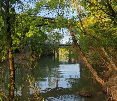 Lookout Valley Neighborhood Association House | Stefan Cabin Nature-nested Tiny Home Hot Tub