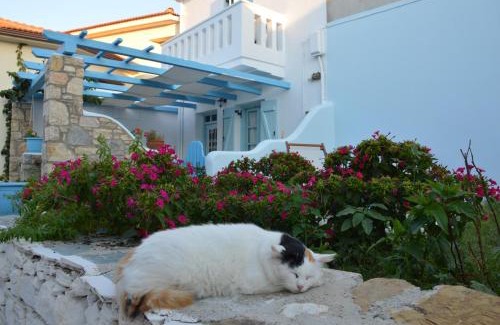 Alonissos Villa | Stella's traditional house.