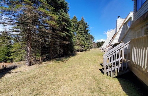Snowshoe House | Steps to ski-Out Trail & Shuttle Access