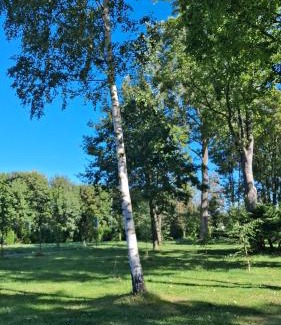 Cieplice Apartment | STREFA ZEN Klimatyczny Pokoj przy Parku