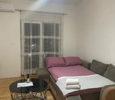 Podgorica Apartment | Studio 78 - Tuški put