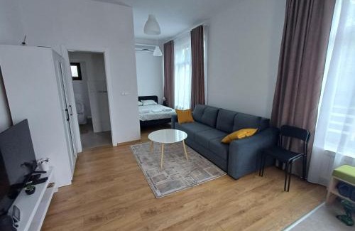 Mali Radic Apartment | Studio apartman Azra