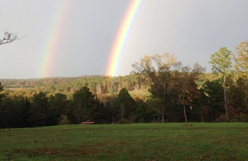 Licking Cabin | Studio cabin w/view, hike to creek w/small waterfall. Contact me, most dates ava