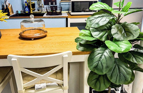 Revere Apartment | Studio Close to Beach, Boston, Logan Airport & Train Station