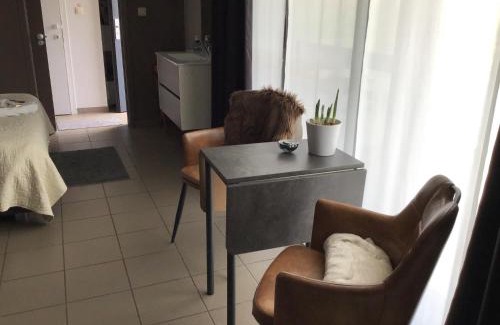 Geel House | Studio Gardenroom Guesthouse De Steenberg met wellness & tuinzicht