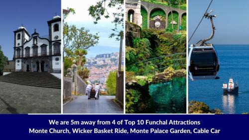 Monte Villa | Studio Geek Villa - Open Space - 5m from 5 top attractions - Pool all year round, Dining Pergola, Barbecue - Funchal Matrix Holiday Home