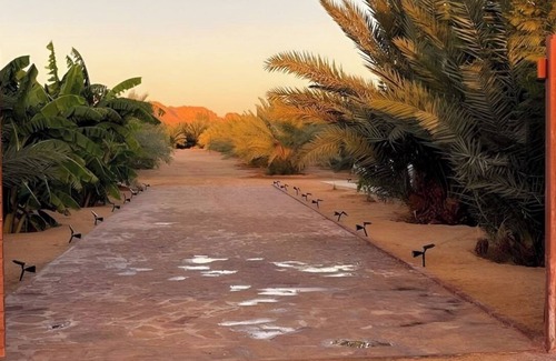 Western Province Apartment | Studio overlooking pool amid flowering and quiet