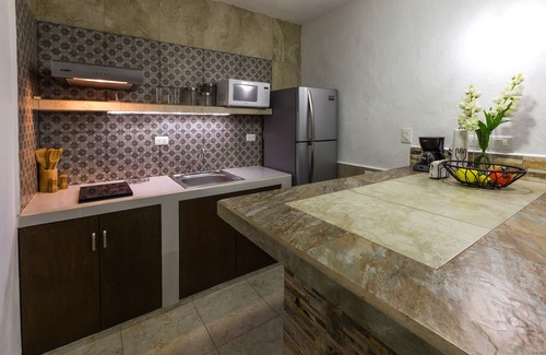 Centro Apartment | Studio w/shared plunge pool, Netflix, etc. .9 mi. from central sq.