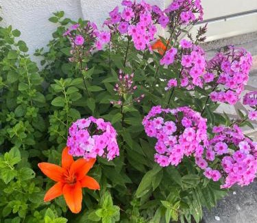 Mostar Apartment | studio za dvije osobe