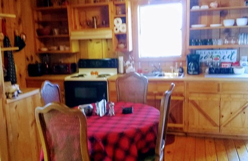 Mountain View Cabin | Stunning Cabin. On a Mountain Ridge! Perfect vacation getaway for all ages!