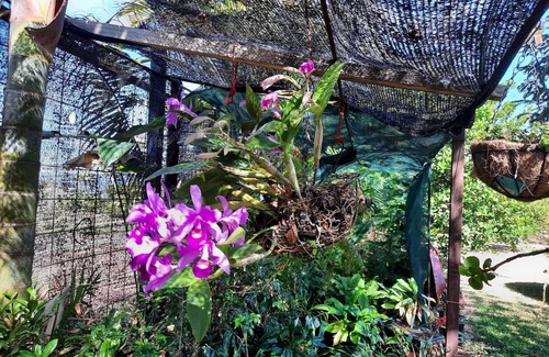 Sabanilla House | Stunning property and home with breathtaking views of Poas volcano and valley