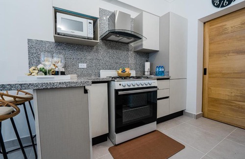 Downtown Santo Domingo Apartment | Stunning view of the city.