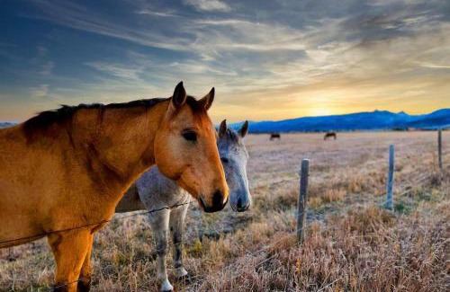 Victor House | Stylish Mtn Home Fireplace Views