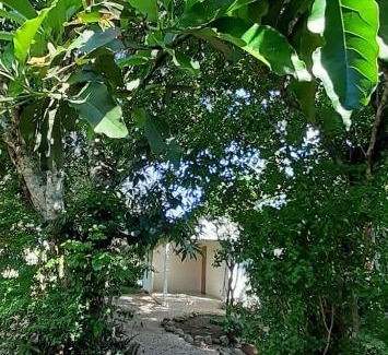 Cuiaba House | Suíte da Floresta