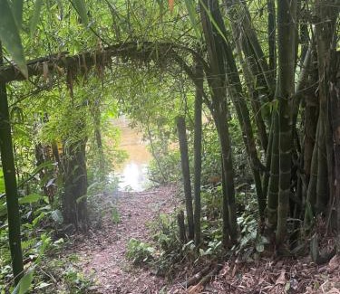 Ponte Branca Cabin | Suítes flores da mata